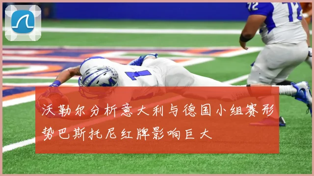 沃勒尔分析意大利与德国小组赛形势巴斯托尼红牌影响巨大
